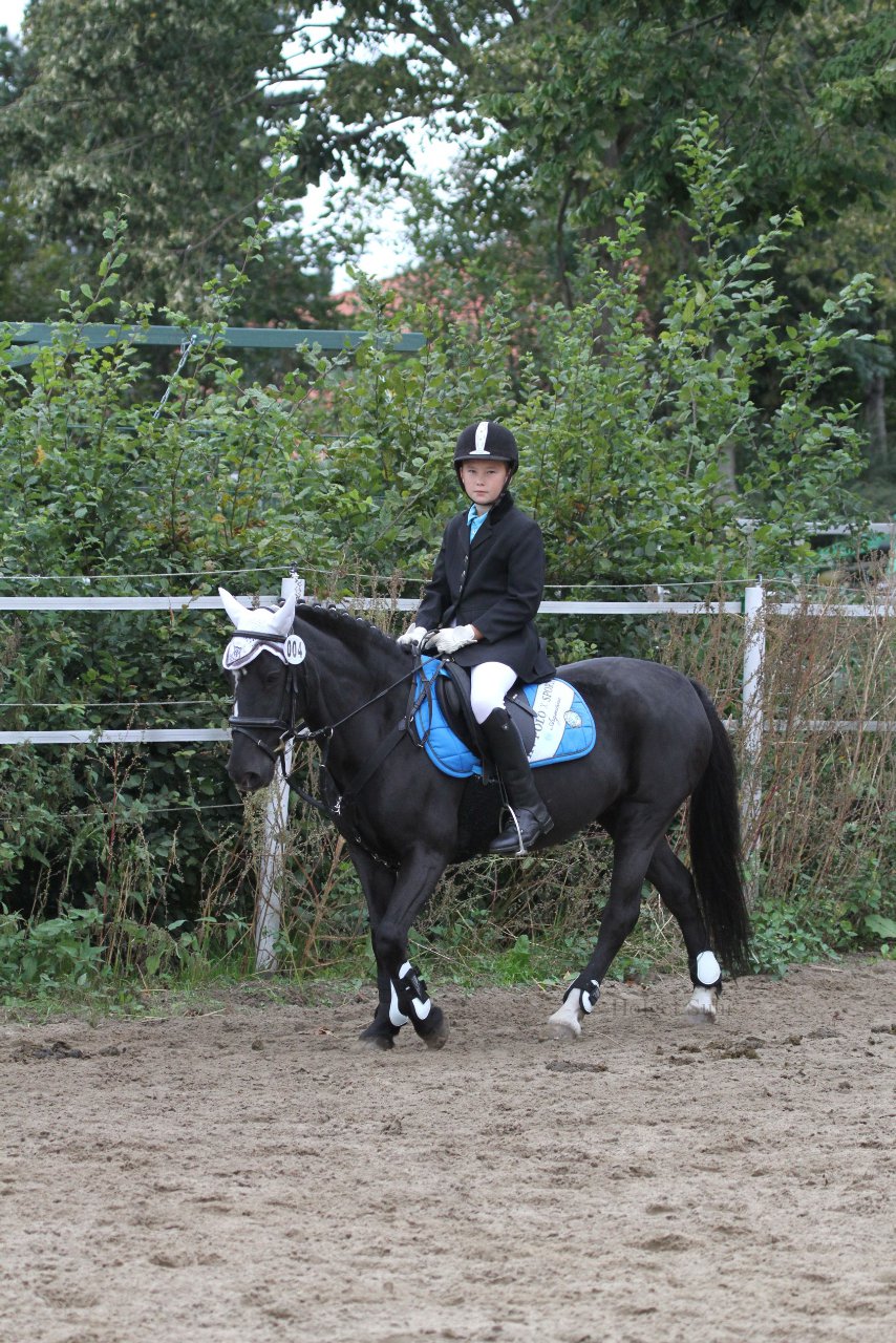 Bild 1200 - WBO-Turnier am 18.9.11